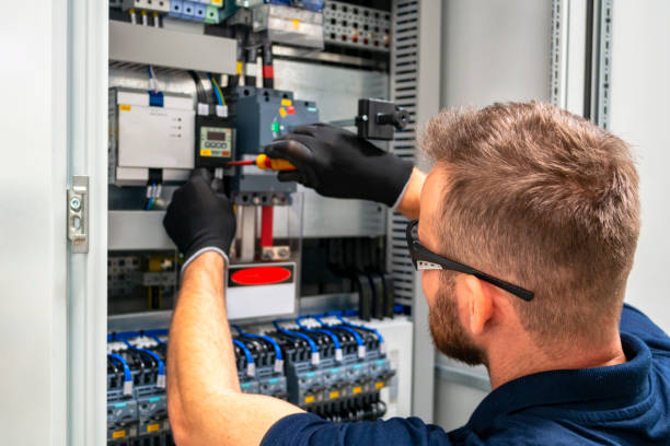 Best Electrician for Home Renovation  in Madison, SD